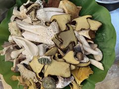 -野菌园·野生菌火锅首创第一家(关兴路总店)