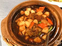 马蹄烧牛腩-建滔诺富特酒店-悦餐厅