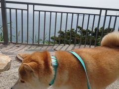 -Brew Farm·精酿农场海滨悬崖餐厅