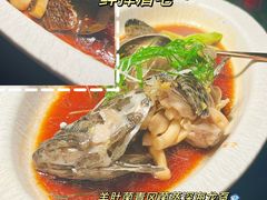 羊肚菌青冈菌蒸深海龙趸-粤·向群饭店(二沙岛店)