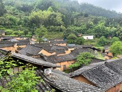 -杨家堂村
