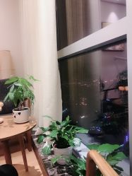 -松和日式美容整骨