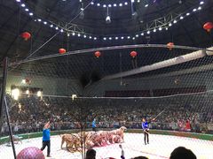 -西安秦岭野生动物园