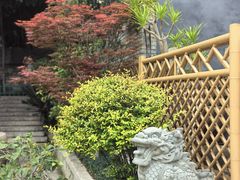 -乌山风景区