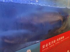 -三江源活鱼现烤(维多利摩尔城店)