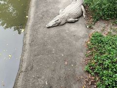 -广州长隆飞鸟乐园