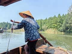 -溱湖国家湿地公园