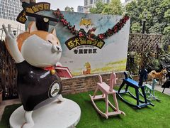 -柴犬高等学院·狗咖·柴犬售卖·宠物训练