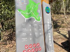 -上海佘山国家森林公园天马山园