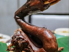 -金成潮菜博物馆(海珠湿地店)