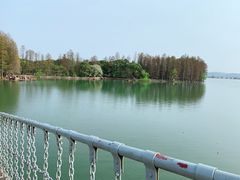 -东湖落雁景区