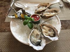 -Oyster Talks 四度蚝法餐厅