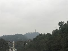 -大金鹰园