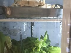 -金鼎雪山牦牛杂火锅(理县总店)