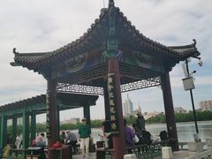 -莲花池公园