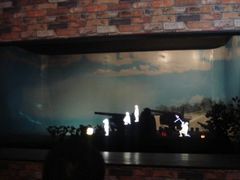 -胡里山炮台