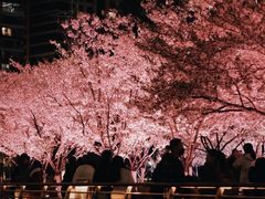 -西北湖绿化广场