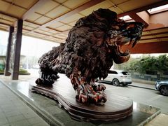 -春晖园度假酒店温泉