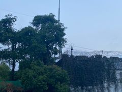 -百威年二手车市场(龙井路店)