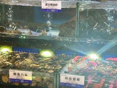 -欢乐海岸美食联盟