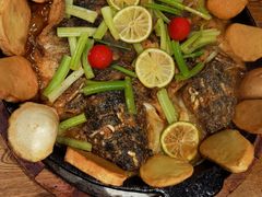 -老板恋上鱼(高新万达店)