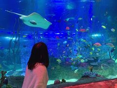 -沈阳海洋探索中心