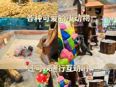 -顺德南宏海立方海洋公园