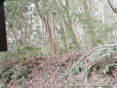 -同里国家湿地公园