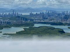 -阳台山森林公园