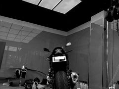 -XPEL旗舰店·汽车贴膜·隐形车衣·改色贴膜