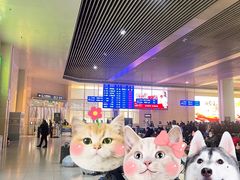 -合肥火车站(地铁站)