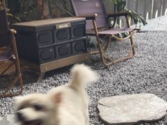 -J Create城市露营咖啡·简餐·宠物(上海动物园店)