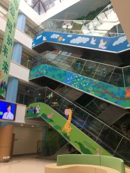 -上海浦滨儿童医院