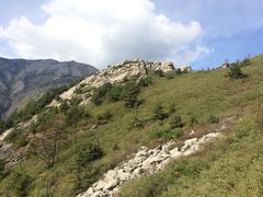 景点-朱雀国家森林公园