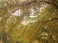 -辽宁大学(崇山校区)