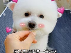 -北京恒爱动物医院(清景园分院)