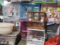 -万商花鸟市场