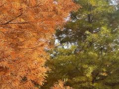 -南京市无想山景区