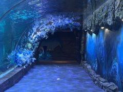 -郑州海洋馆
