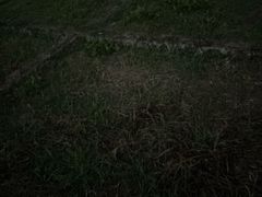 -海珠儿童公园