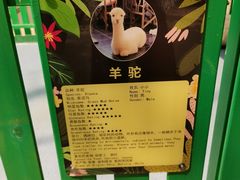 -北京欢乐谷