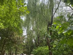 -元大都城垣遗址公园