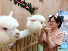-藦茜花园宠物主题亲子互动体验馆(国顺东路店)