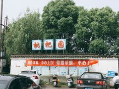 -塘栖枇杷特色园区