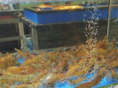 -张家卫·阳江菜·小海鲜(肥婆湾桥店)