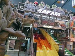 -卡通尼·Safari非洲探索乐园·生日会(金桥国际商业广场店)