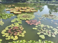 -国家植物园南园