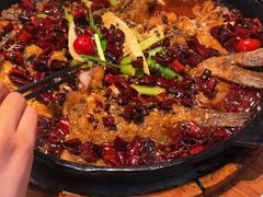 -老板恋上鱼(恒隆广场店)