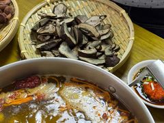 -菌极鲜野生菌火锅店(阳明祠店)