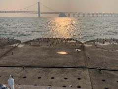 -星海广场